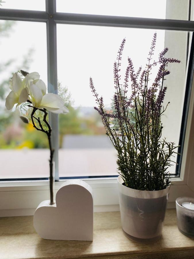 Ferienwohnung Bautzenblick Doberschau-Gaussig 外观 照片